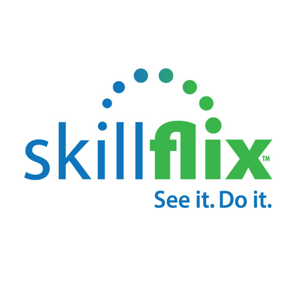 Skillflix logo Skillflix logo