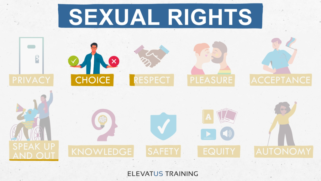 Graphic image showing all Sexual Rights, with Choice highlighted.
